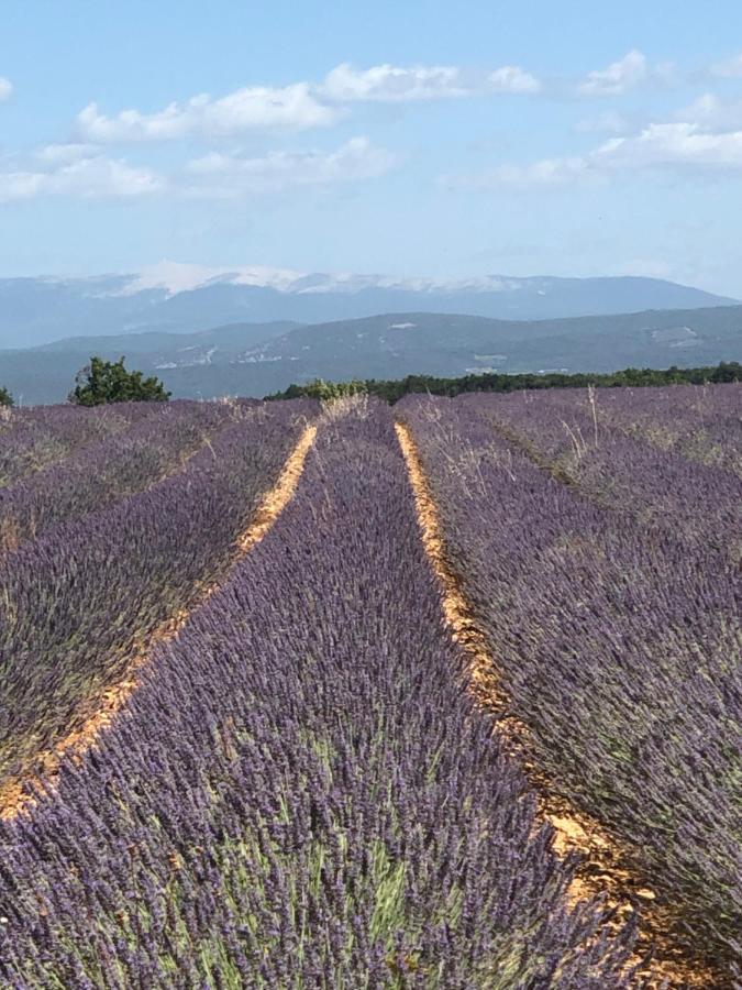 Provence Luberon Bonnieux Location Gite Chez Basile Kültér fotó